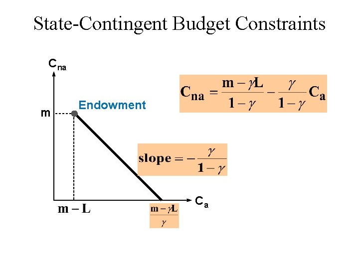 State-Contingent Budget Constraints Cna m Endowment Ca 