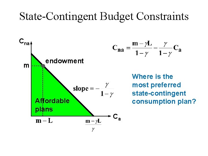 State-Contingent Budget Constraints Cna m endowment Affordable plans Where is the most preferred state-contingent