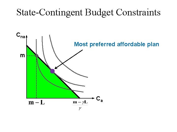 State-Contingent Budget Constraints Cna Most preferred affordable plan m Ca 