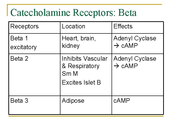 Catecholamine Receptors: Beta Receptors Location Effects Beta 1 excitatory Heart, brain, kidney Adenyl Cyclase