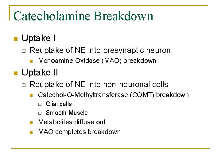Catecholamine Breakdown n Uptake I q Reuptake of NE into presynaptic neuron n n