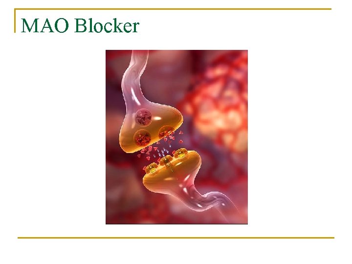 MAO Blocker 