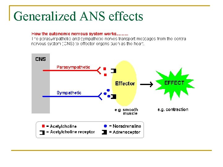 Generalized ANS effects 