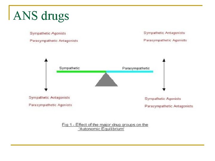 ANS drugs 