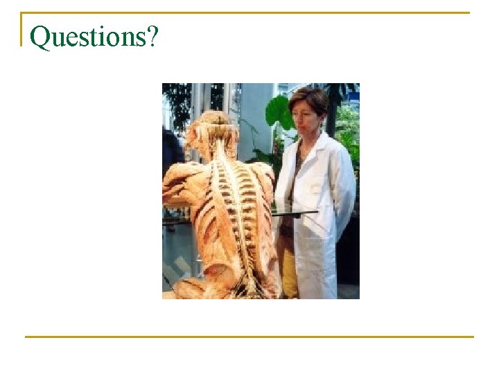 Questions? 