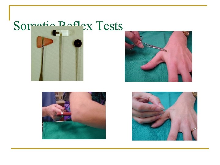 Somatic Reflex Tests 