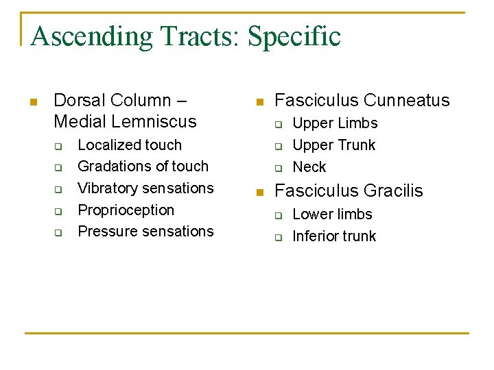 Ascending Tracts: Specific n Dorsal Column – Medial Lemniscus q q q Localized touch