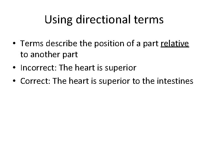 Using directional terms • Terms describe the position of a part relative to another