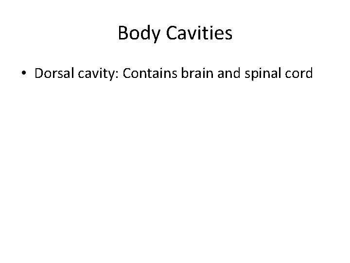 Body Cavities • Dorsal cavity: Contains brain and spinal cord 