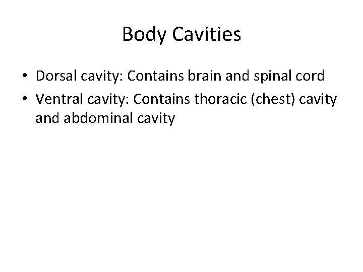 Body Cavities • Dorsal cavity: Contains brain and spinal cord • Ventral cavity: Contains