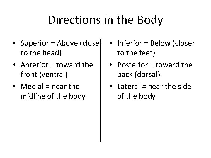 Directions in the Body • Superior = Above (closer • Inferior = Below (closer