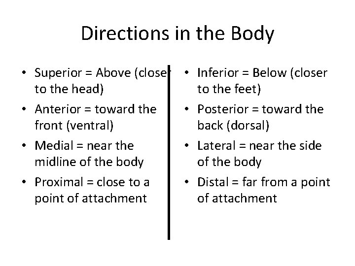 Directions in the Body • Superior = Above (closer to the head) • Anterior