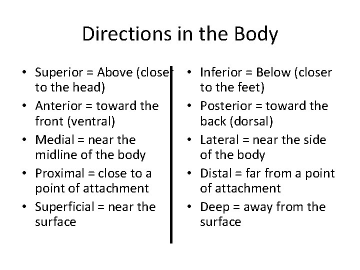 Directions in the Body • Superior = Above (closer to the head) • Anterior