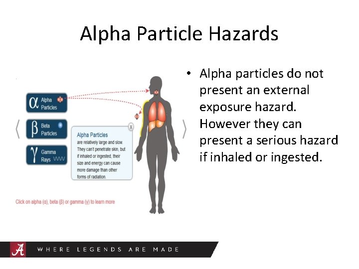 Alpha Particle Hazards • Alpha particles do not present an external exposure hazard. However