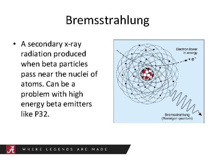 Bremsstrahlung • A secondary x-ray radiation produced when beta particles pass near the nuclei