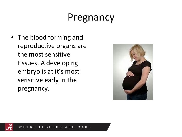 Pregnancy • The blood forming and reproductive organs are the most sensitive tissues. A