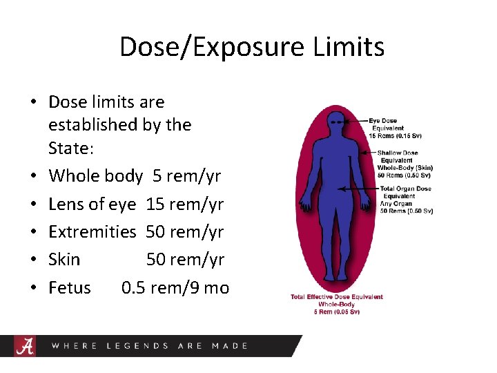 Dose/Exposure Limits • Dose limits are established by the State: • Whole body 5