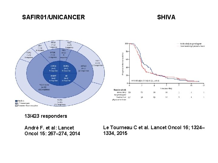 SAFIR 01/UNICANCER SHIVA . 13/423 responders André F. et al: Lancet Oncol 15: 267–