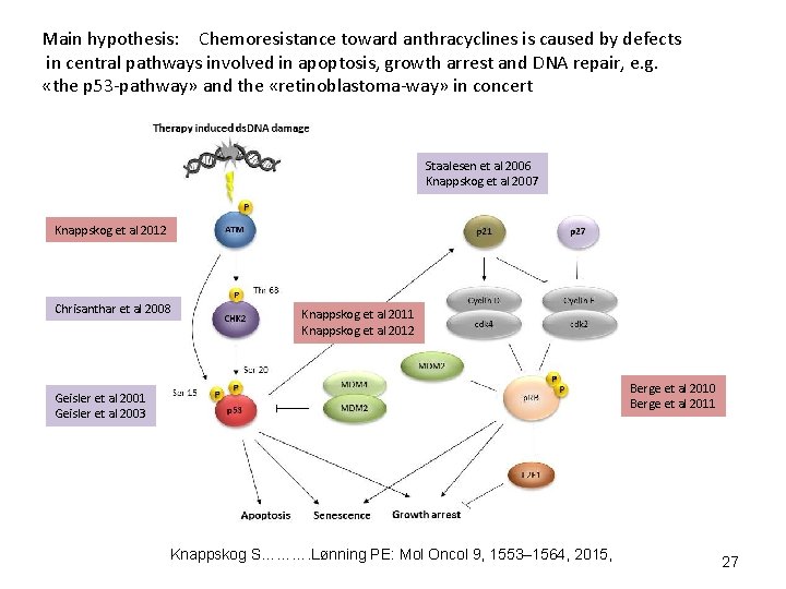 Main hypothesis: Chemoresistance toward anthracyclines is caused by defects in central pathways involved in
