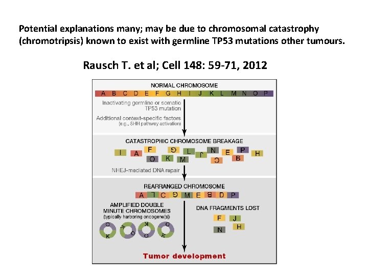 Potential explanations many; may be due to chromosomal catastrophy (chromotripsis) known to exist with