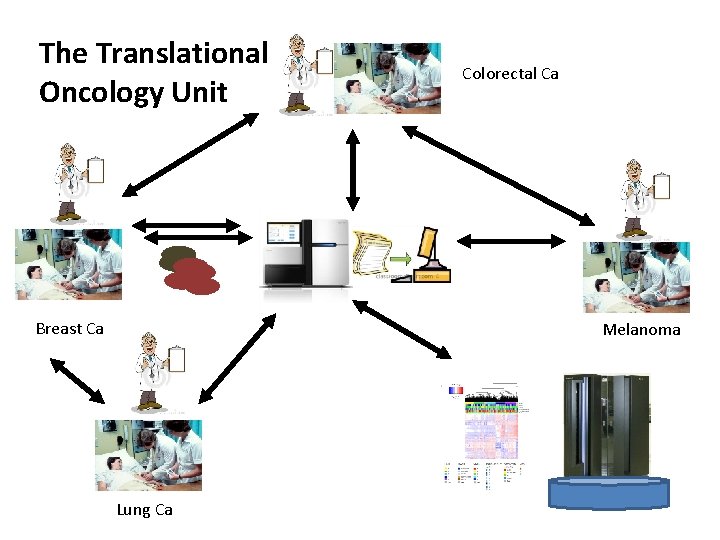 The Translational Oncology Unit Breast Ca Colorectal Ca Melanoma Lung Ca 