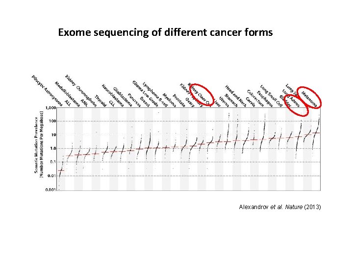 Exome sequencing of different cancer forms Alexandrov et al. Nature (2013) 