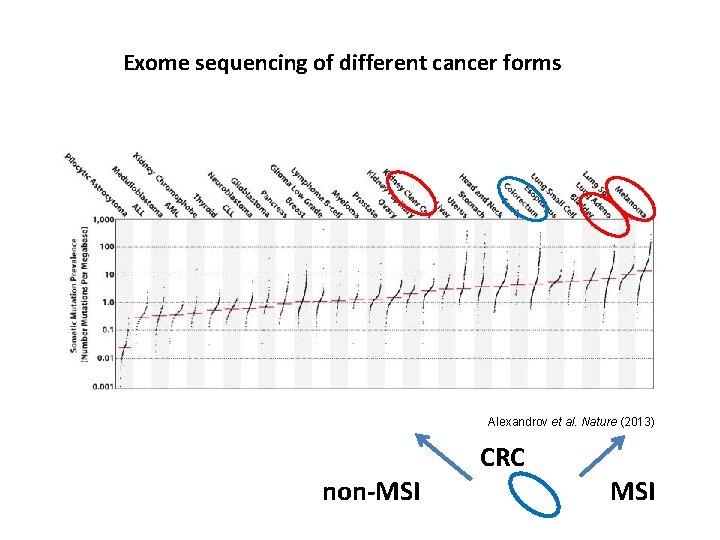 Exome sequencing of different cancer forms Alexandrov et al. Nature (2013) non-MSI CRC MSI