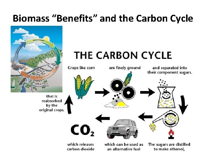 Biomass “Benefits” and the Carbon Cycle 