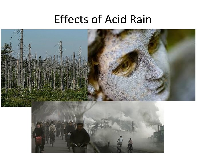 Effects of Acid Rain 