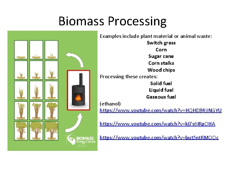 Biomass Processing Examples include plant material or animal waste: Switch grass Corn Sugar cane