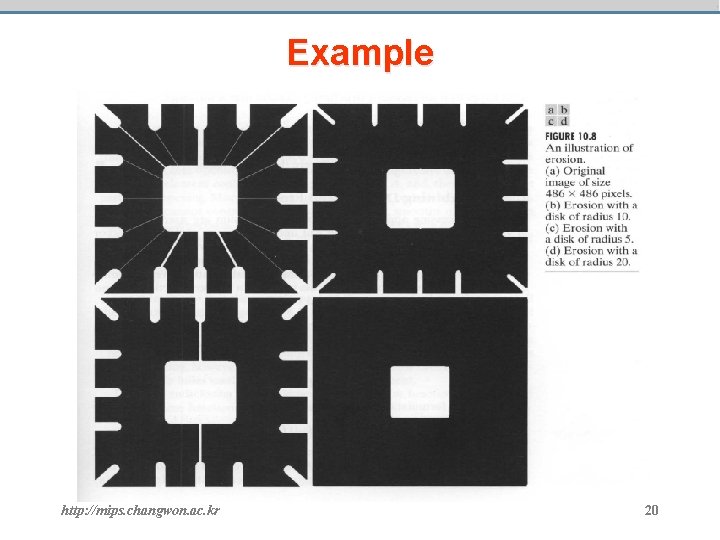 Example http: //mips. changwon. ac. kr 20 