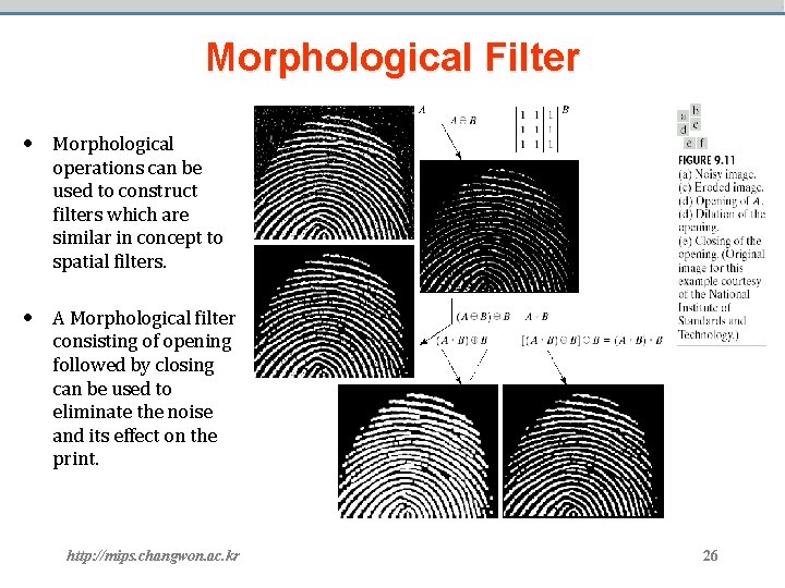 Morphological Filter • Morphological operations can be used to construct filters which are similar