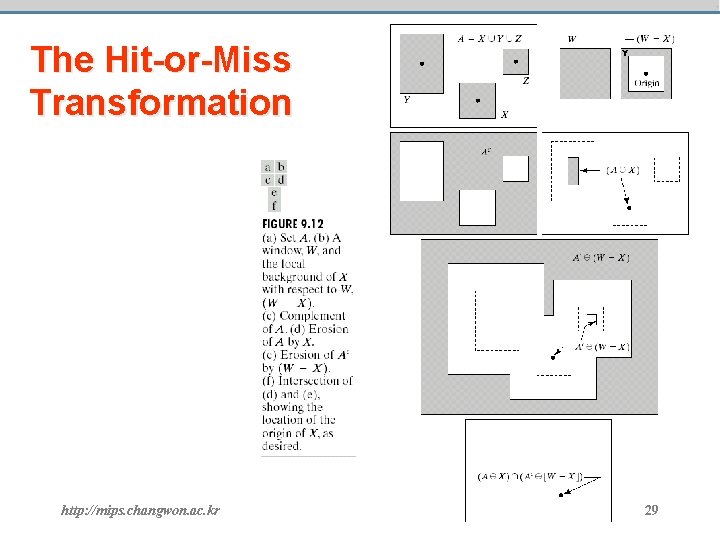 The Hit-or-Miss Transformation http: //mips. changwon. ac. kr 29 