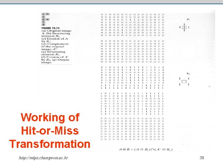 Working of Hit-or-Miss Transformation http: //mips. changwon. ac. kr 30 