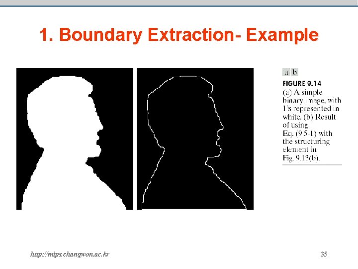 1. Boundary Extraction- Example http: //mips. changwon. ac. kr 35 