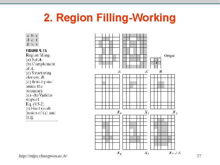 2. Region Filling-Working http: //mips. changwon. ac. kr 37 