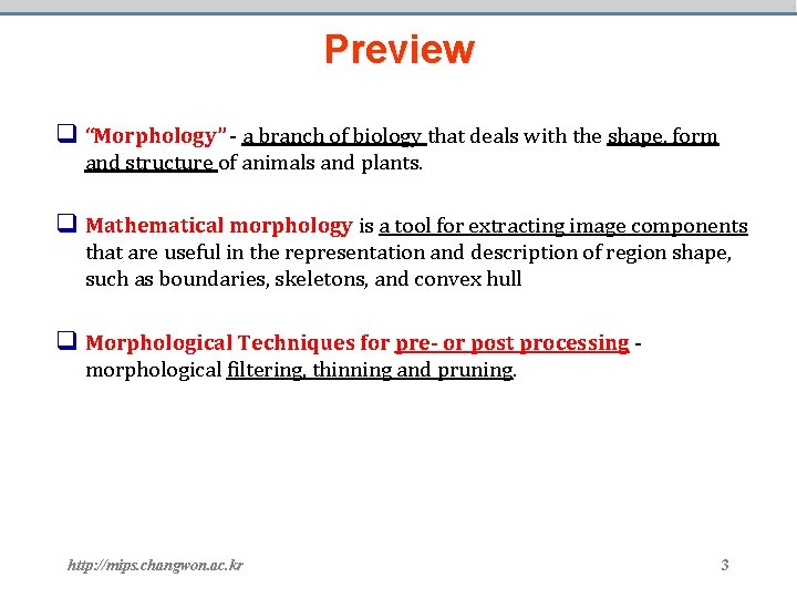 Preview q “Morphology” - a branch of biology that deals with the shape, form