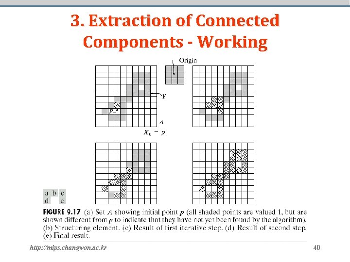 3. Extraction of Connected Components - Working http: //mips. changwon. ac. kr 40 