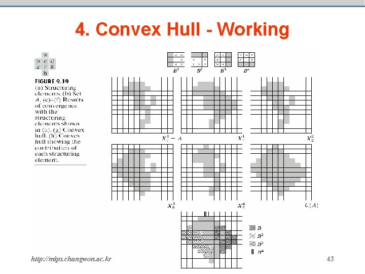 4. Convex Hull - Working http: //mips. changwon. ac. kr 43 