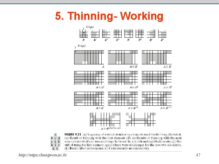 5. Thinning- Working http: //mips. changwon. ac. kr 47 