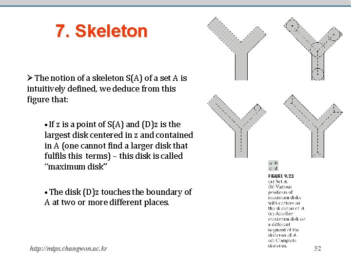 7. Skeleton ØThe notion of a skeleton S(A) of a set A is intuitively