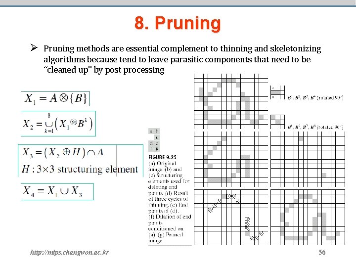 8. Pruning Ø Pruning methods are essential complement to thinning and skeletonizing algorithms because