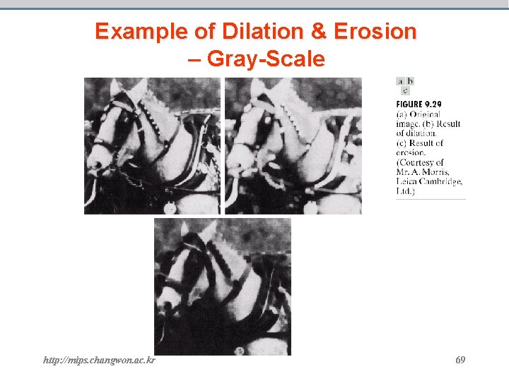 Example of Dilation & Erosion – Gray-Scale http: //mips. changwon. ac. kr 69 