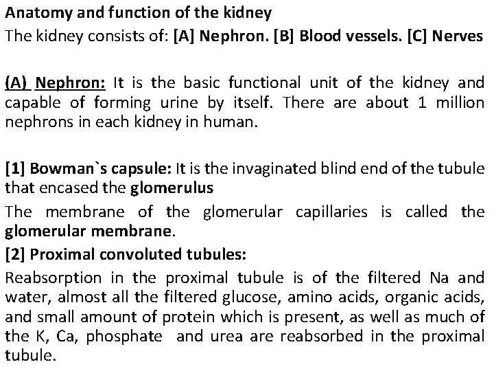Anatomy and function of the kidney The kidney consists of: [A] Nephron. [B] Blood