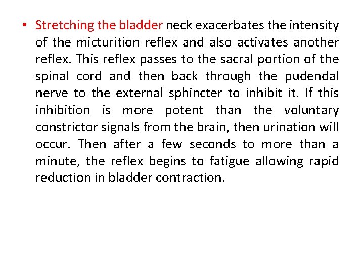  • Stretching the bladder neck exacerbates the intensity of the micturition reflex and