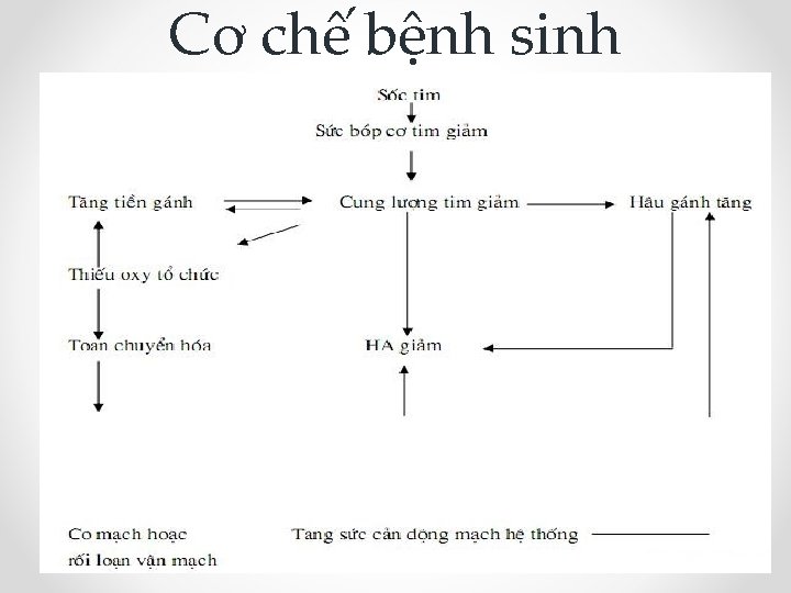 Cơ chế bệnh sinh 
