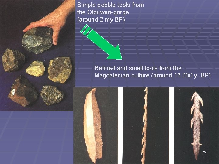Simple pebble tools from the Olduwan-gorge (around 2 my BP) Refined and small tools