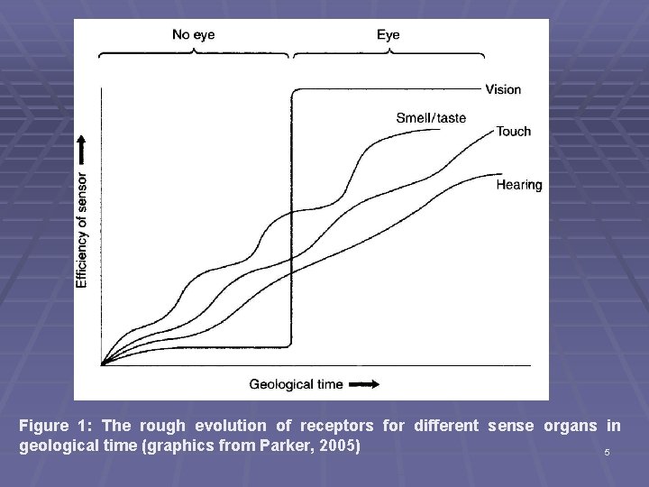 Figure 1: The rough evolution of receptors for different sense organs in geological time