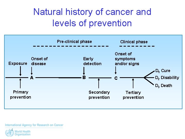 Natural history of cancer and levels of prevention Pre-clinical phase Onset of Exposure disease