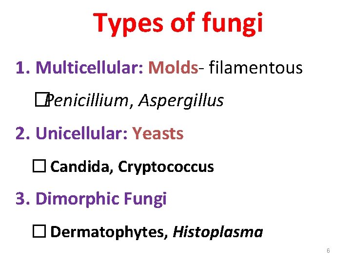 is aspergillus single or multicellular